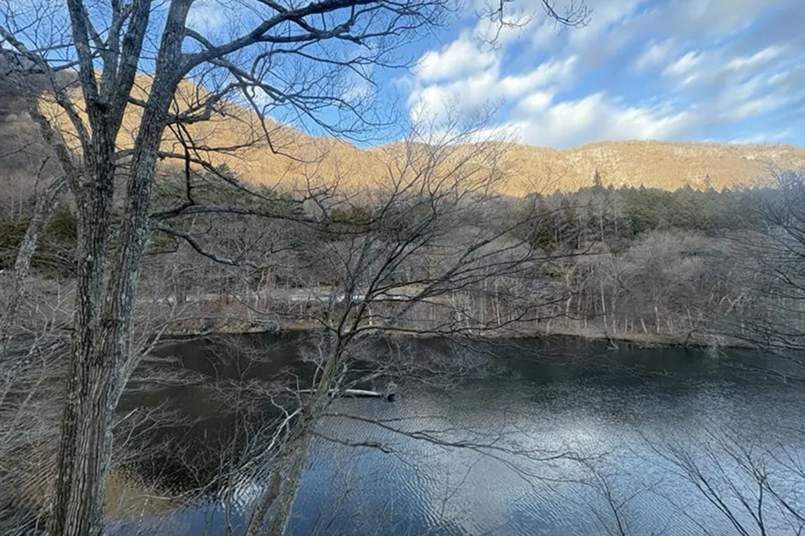 お食事処からの眺望